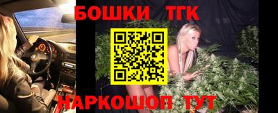 тгк Лесосибирск